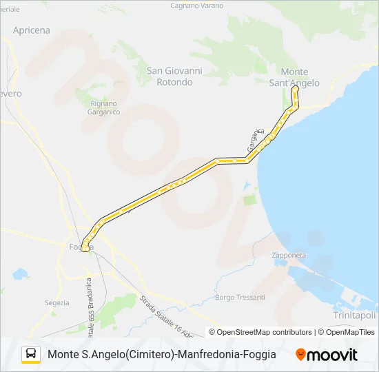 741R1.1C Bus Line Map