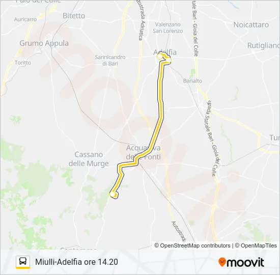 704R.AM.10 Bus Line Map