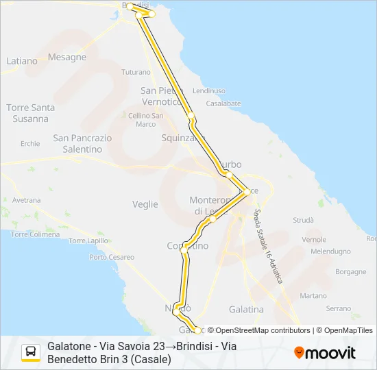 1007A (COINCIDENZA INCLUSA) Bus Line Map