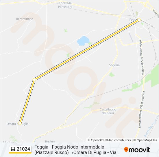 21024 Bus Line Map