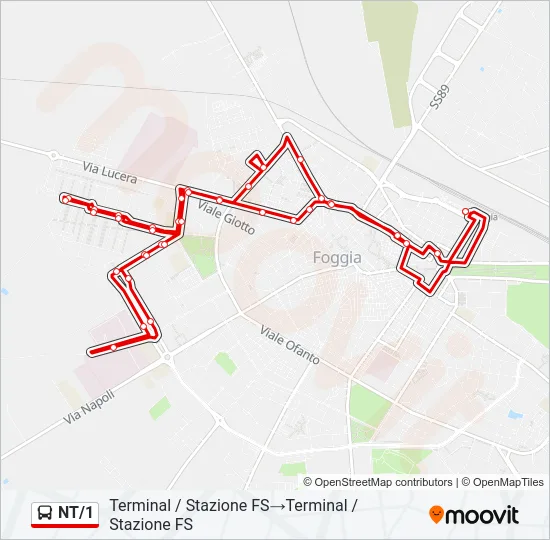 NT/1 Bus Line Map