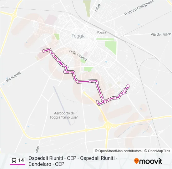 Percorso linea bus 14