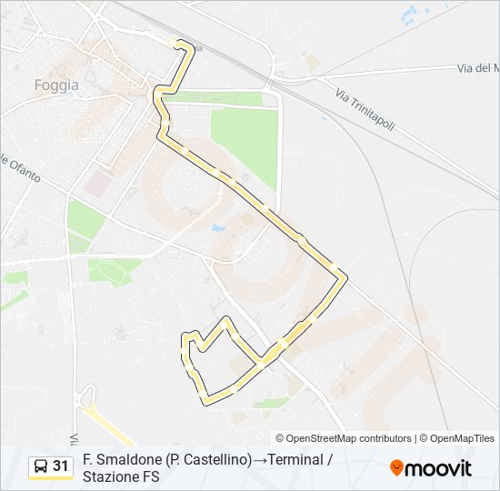 31 bus Line Map