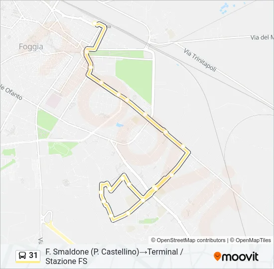 31 Bus Line Map