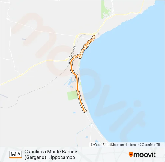 5 Bus Line Map