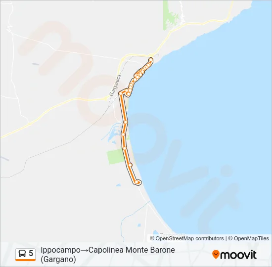 5 Bus Line Map