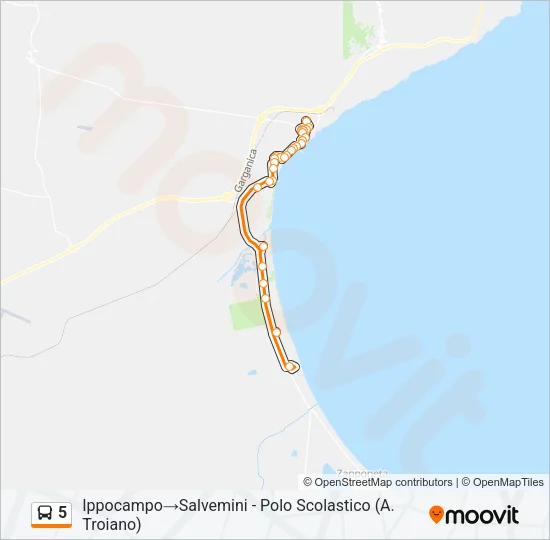5 Bus Line Map