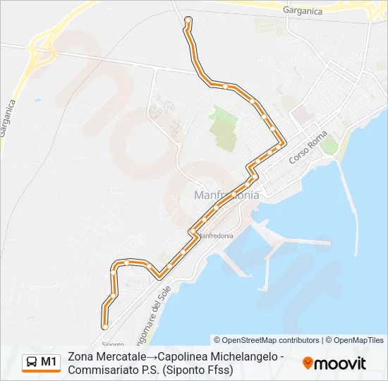 M1 Bus Line Map