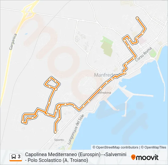 3 Bus Line Map