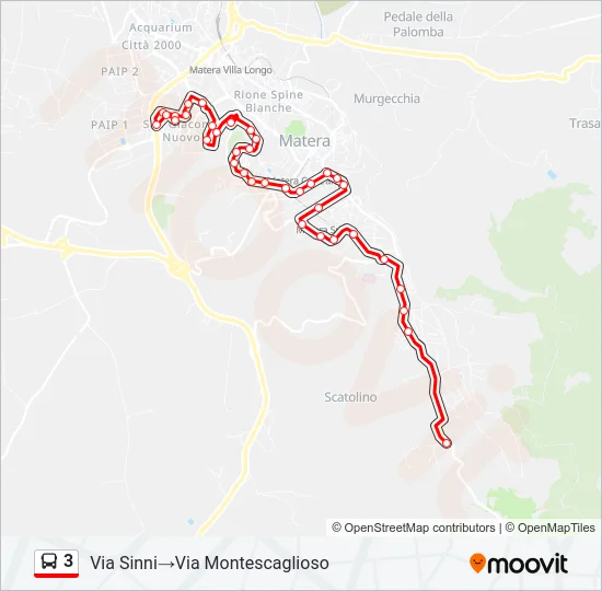 3 Bus Line Map