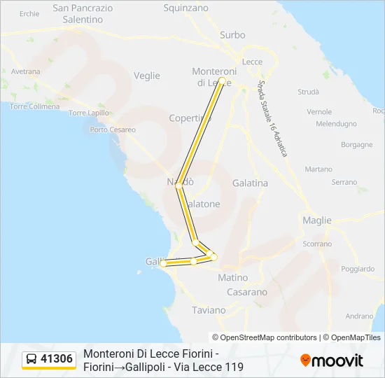 41306 Bus Line Map