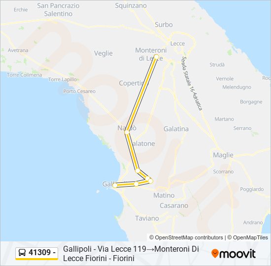 41309 - bus Line Map