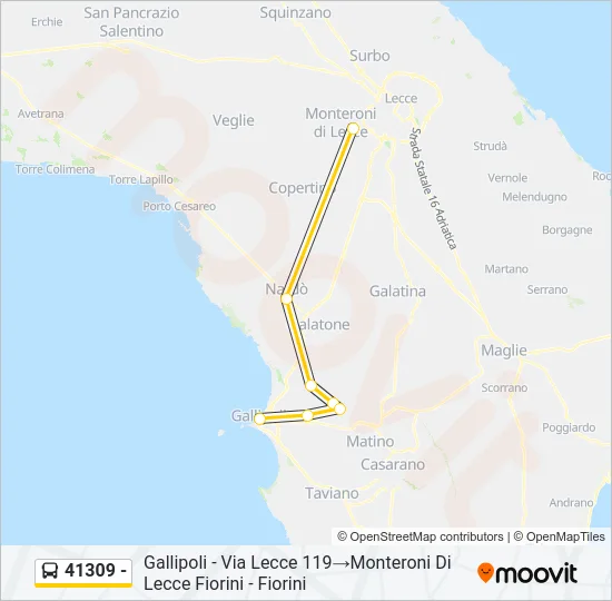 41309 - Bus Line Map