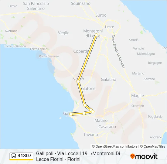 41307 Bus Line Map