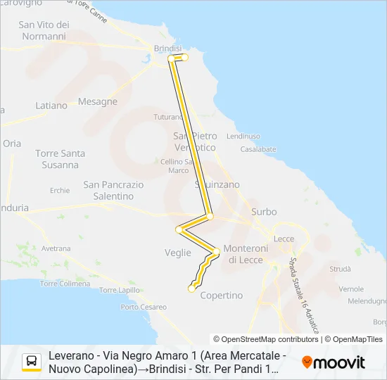 1033 - 1 - SPERIMENTALE Bus Line Map