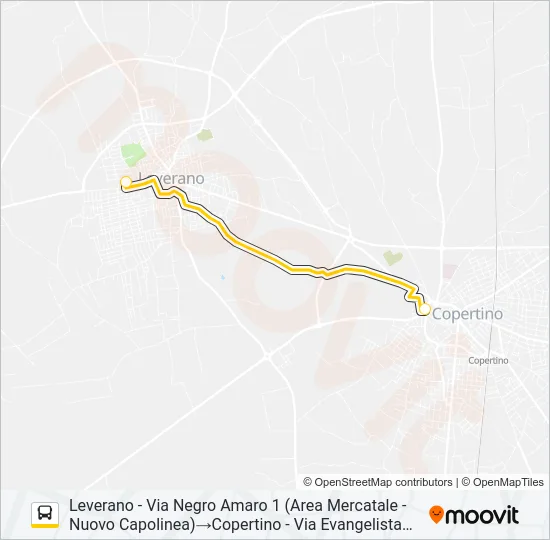 2117D - SPERIMENTALE Bus Line Map