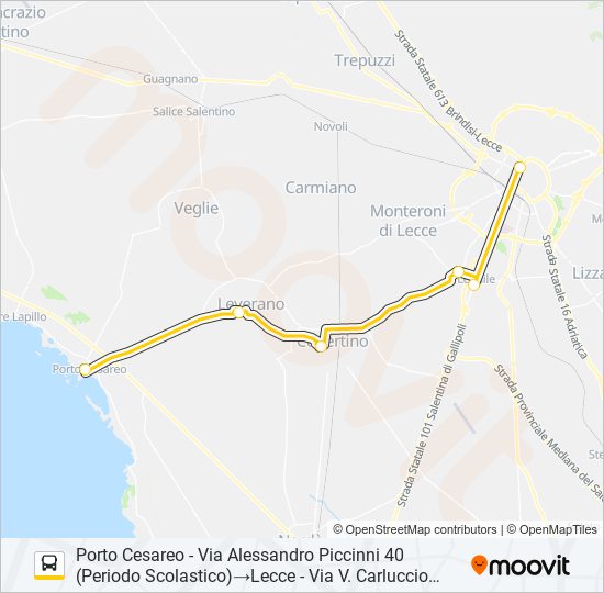 21117 - SPERIMENTALE bus Line Map