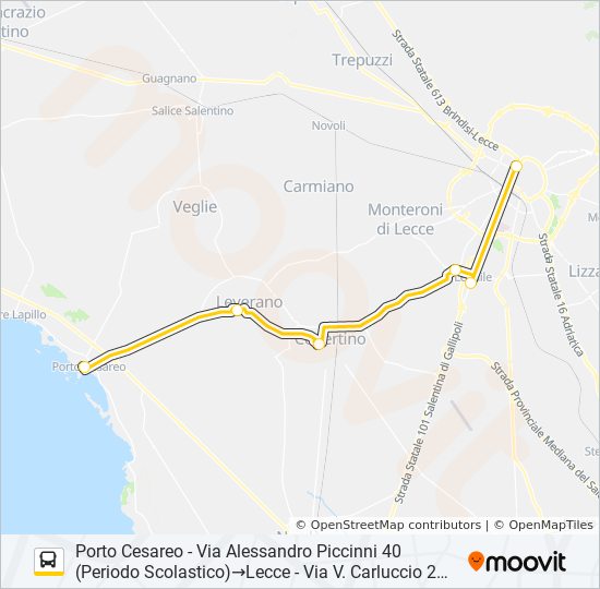 21117 - SPERIMENTALE bus Line Map