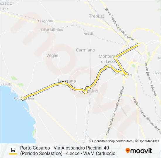 21115 - SPERIMENTALE Bus Line Map