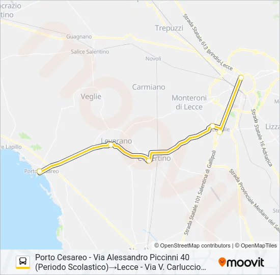 2113 - SPERIMENTALE Bus Line Map