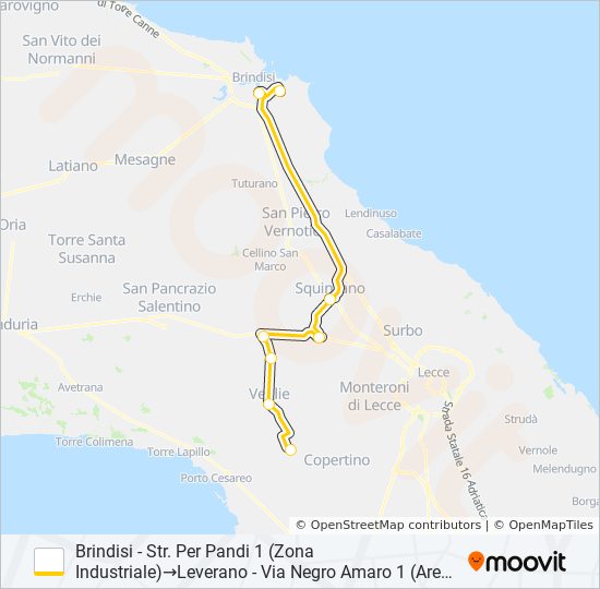 10310 - 1 - SPERIMENTALE bus Line Map
