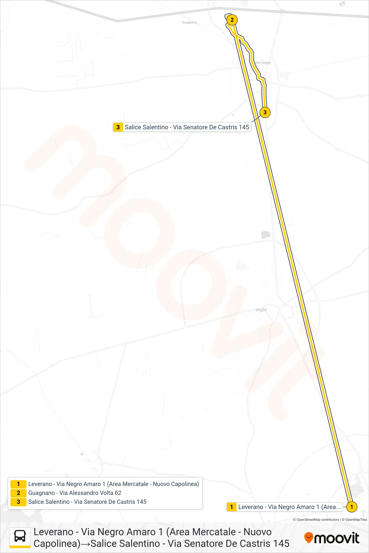 Linea 2262 -2 - SPERIMENTALE bus (Leverano - Via Negro Amaro 1 (Area Mercatale - Nuovo Capolinea)→Salice Salentino - Via Senatore De Castris 145) - Percorsi e fermate sulla mappa