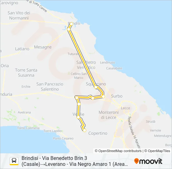 1038 - 1 - SPERIMENTALE Bus Line Map