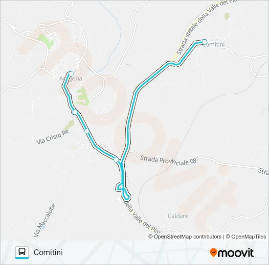 LATTUCA Bus Line Map