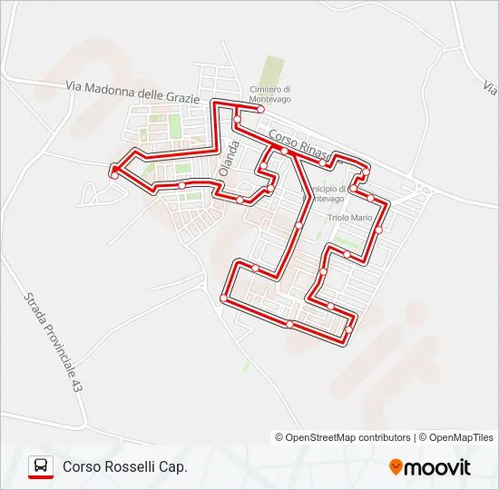 MONTEVAGO Bus Line Map