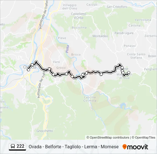 222 Bus Line Map