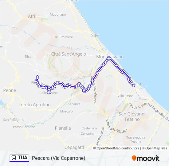 TUA Bus Line Map