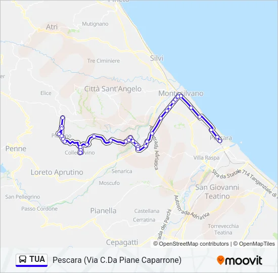 TUA Bus Line Map