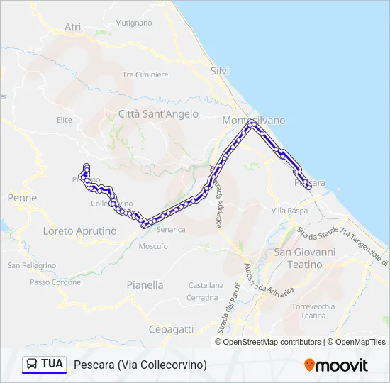 TUA Bus Line Map