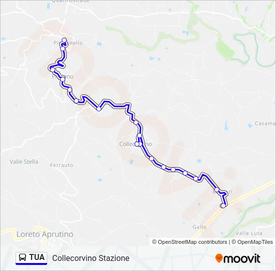 TUA Bus Line Map
