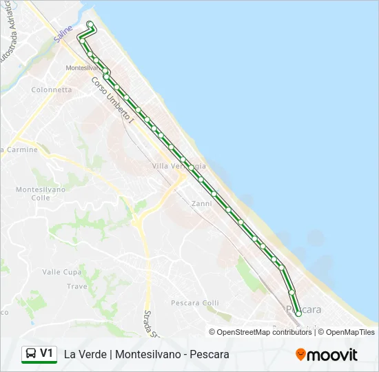 V1 Bus Line Map