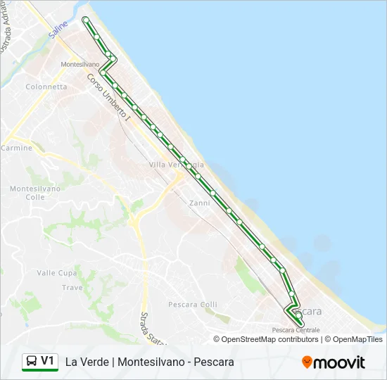 V1 Bus Line Map