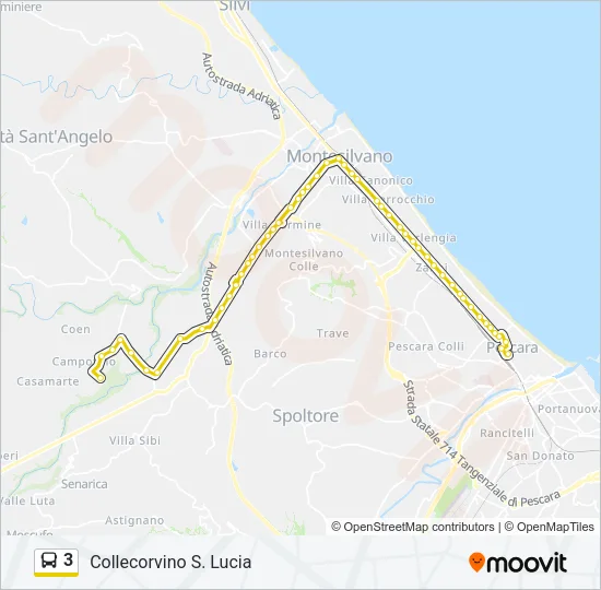 3 Bus Line Map
