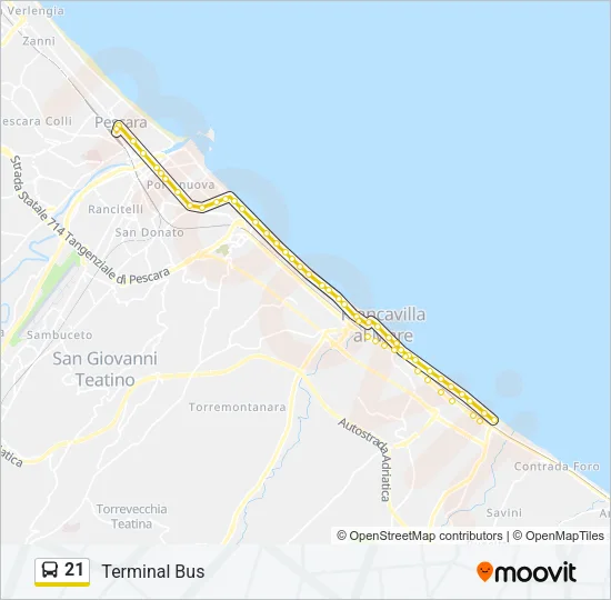 21 Bus Line Map