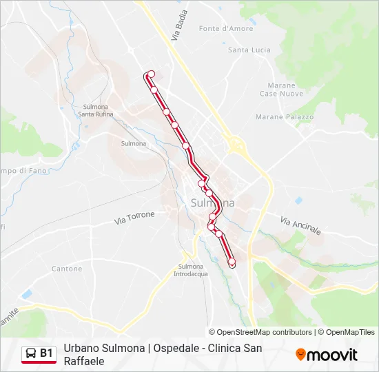 B1 Route: Schedules, Stops & Maps - Hospital (Updated)