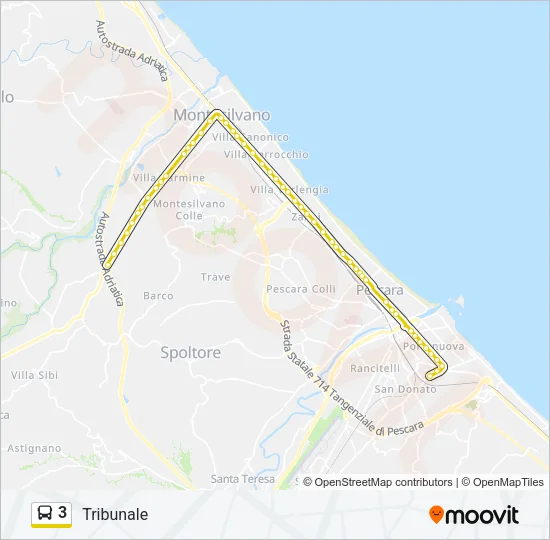 3 Bus Line Map