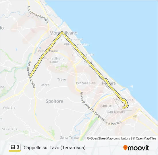 3 Bus Line Map