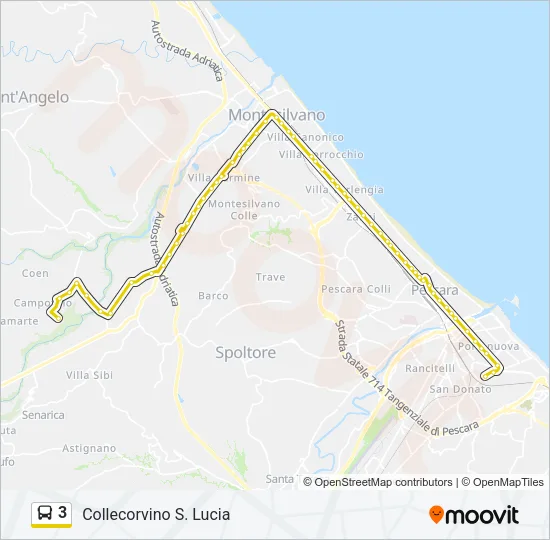 3 Bus Line Map
