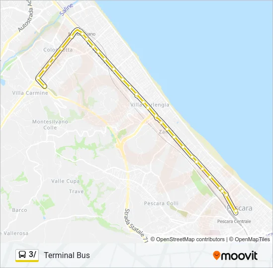 3/ Bus Line Map