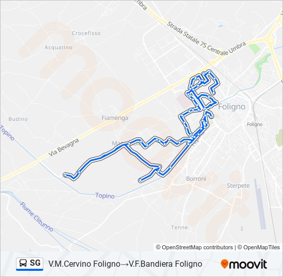 SG bus Line Map