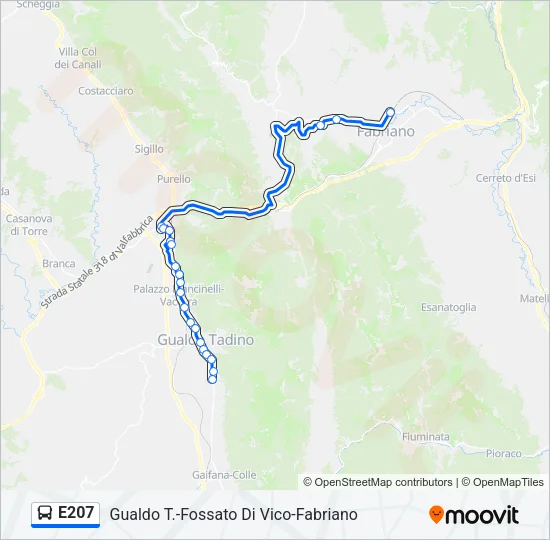 E207 Bus Line Map