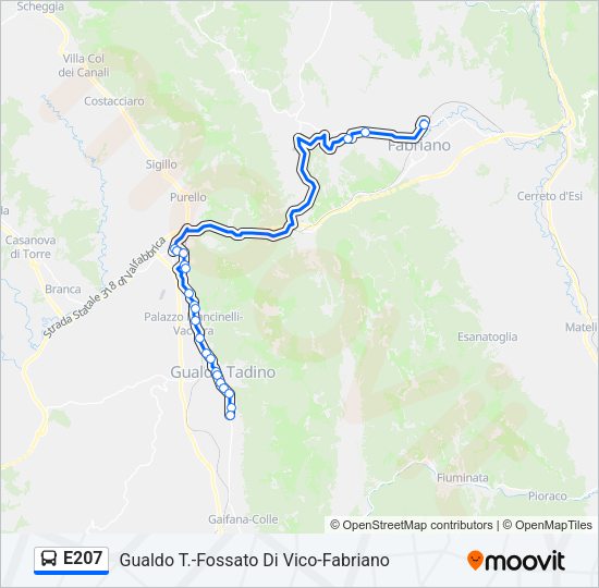 Percorso linea bus E207