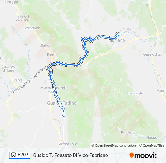 E207 Bus Line Map