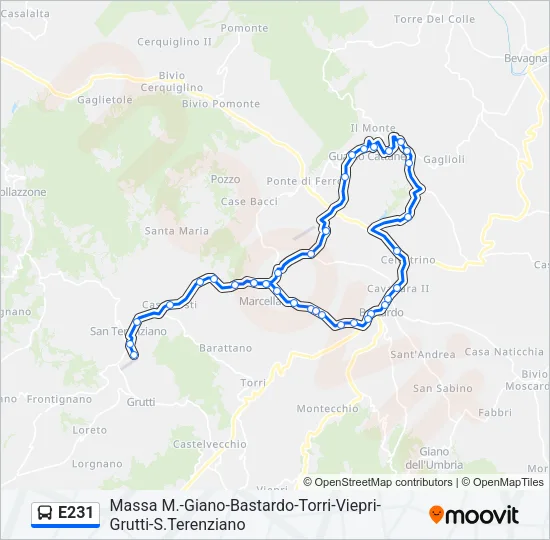 E231 Bus Line Map