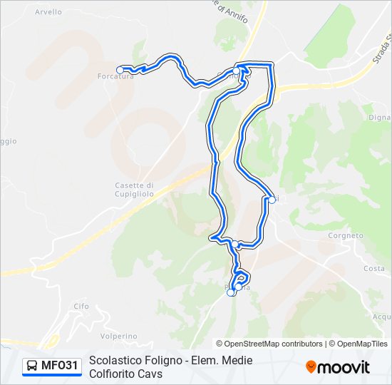 MFO31 bus Line Map