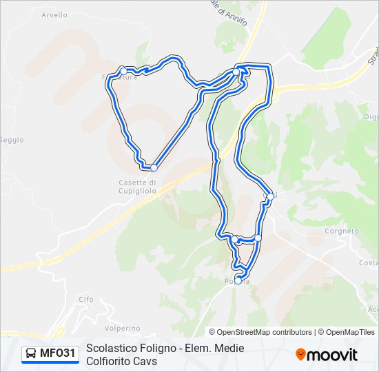 MFO31 bus Line Map